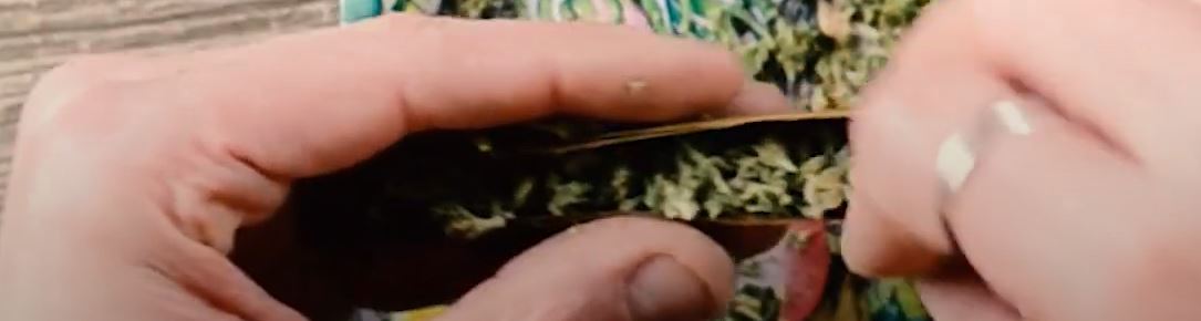 How to Roll a Swisher Blunt - The Right Way